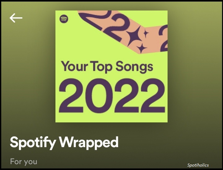 Spotify Wrapped, Spotify Wrapped 2022, Annual Spotify Wrapped, Annual Spotify Summary, Artist Wrapped Shareable card, Spotify wrapped top songs 2022, 